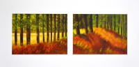 Nr.2 | Lies Mudde | tweeluik bos | Acryl | 99 x 49 | met chrome lijst
